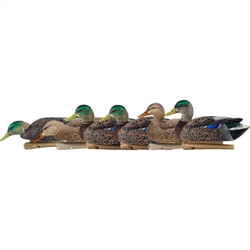 Picture of Avian-X AvianX Top Flight Duck Decoys Early Season Mallards 6 pk. AVX-AVX8062
