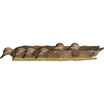 Picture of Avian-X AvianX Top Flight Duck Decoys Early Season Teal 6 pk. AVX-AVX8079