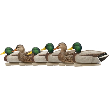 Picture of Avian-X AvianX Top Flight Duck Decoys Open Water Mallard 6 pk. AVX- AVX8060