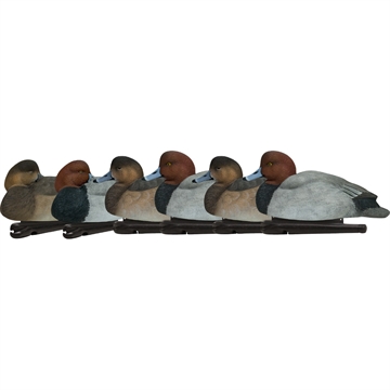 Picture of Avian-X AvianX Top Flight Duck Decoys Redheads 6 pk. AVX-AVX8089