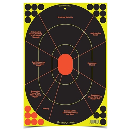 Picture of B/C TARGET SHOOT-N-C 12"x18" HANDGUN TRAINER 100/PK 34653