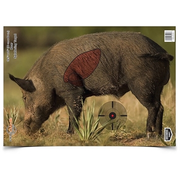 Picture of Birchwood Casey Pregame Boar Paper Target 16.50" x 24" 3 Per Pkg 35408