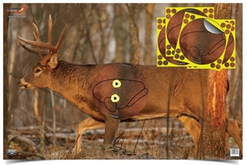 Picture of BIRCHWOOD CASEY EZSCR WHTTL2 OVRLY4 37431