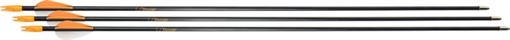 Picture of BEAR ARCHERY YOUTH SAFETYGLASS ARROWS 28" 3PK A1090B