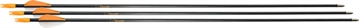 Picture of BEAR ARCHERY YOUTH SAFETYGLASS ARROWS 28" 3PK A1090B