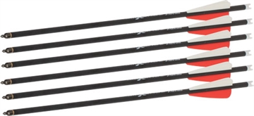 Picture of Bear Bear X TrueX Max Crossbow Bolts 20 in. 6 pk. ACBK23