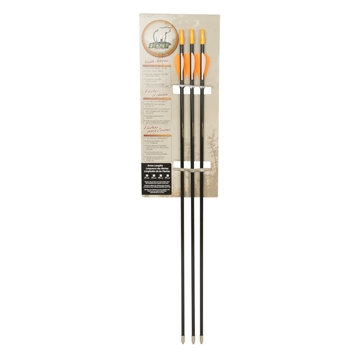 Picture of Bear Bear Brave Arrows 3 pk. AS3800003