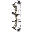 Picture of Bear Bear Paradigm RTH Package DNA/Black 60 lbs. LH AV46B73016L