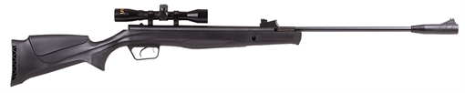 Picture of Beeman Air Rifle Combo 22 1061622