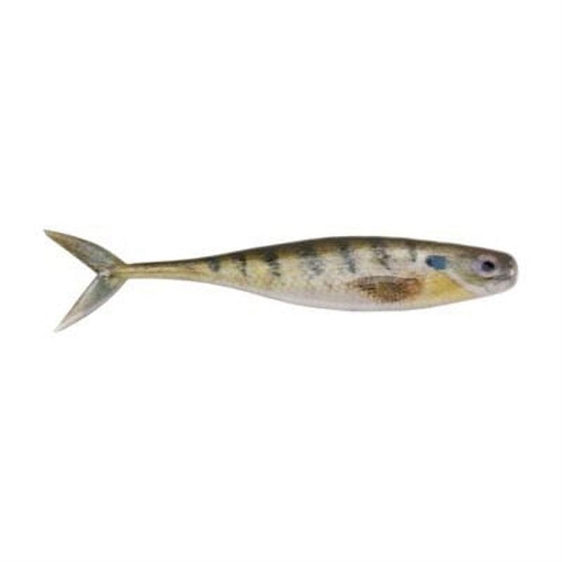 Picture of BERKLEY FISHING PRODUCTS CHAMP MINNOW 3.4" HD BLUEGILL 10PK 1523483