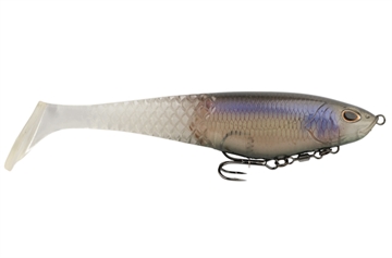 Picture of BERKLEY FISHING PRODUCTS CULLSHAD GHOST MORNING DAWN 6" 1598192