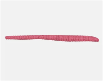 Picture of BERKLEY FISHING PRODUCTS FLOATING TROUT WORM BUBBLEGUM 2 1/2IN 1139672