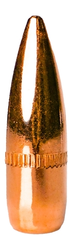 Picture of BERRYS 93300     223      .223   55GR FMJ      500
