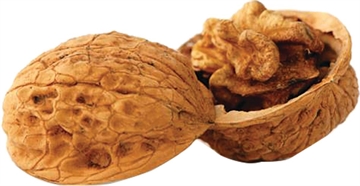 Picture of Berry's Walnut Media 8 lb. Box 75221