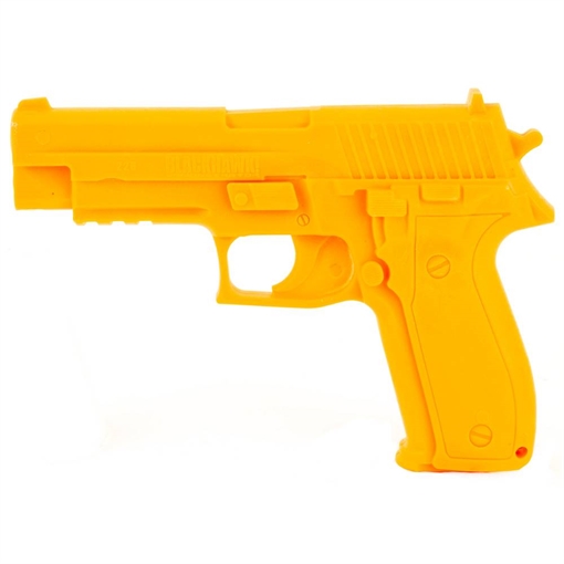 Picture of BH DEMONSTRATOR GUN SIG 226 ORG 44DG226ROR