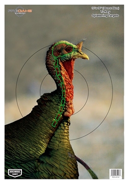 Picture of Birchwood Casey 35403 Pregame Turkey Paper Hanging Universal 12" x 18" Multi-Color 8 Per Pkg 35403 BC-35403