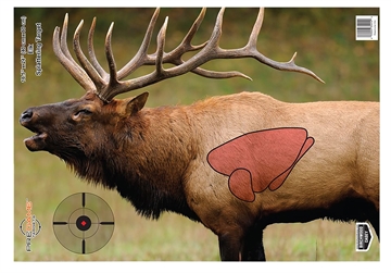 Picture of Birchwood Casey Pregame Elk Paper Target 16.50" x 24" 3 Per Pkg 35404
