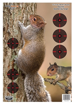 Picture of Birchwood Casey Pregame Squirrel Paper Hanging Rifle 12" x 18" Impact Enhancement 8 Per Pkg 35406