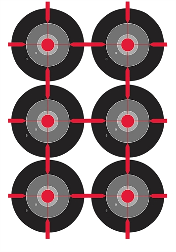 Picture of Birchwood Casey Dirty Bird 12"x18" Splatter Target Multiple Bull's Eye - 100/ct BC-35703
