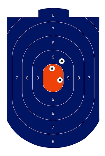 Picture of Birchwood Casey Dirty Bird Silhouette Target Silhouette Tagboard Target 12" x 18" 100 Per Pkg 35714