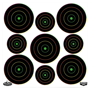 Picture of Birchwood Casey Dirty Bird Bullseye Tagboard Hanging Pistol/Rifle Black/Green 20 Per Pkg 35828