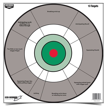 Picture of Birchwood Casey EZE-Scorer 12" Bullseye Paper Hanging Gray/White 13 Per Pkg 37245
