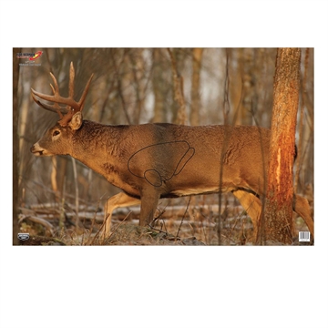 Picture of Birchwood Casey EZE-Scorer Whitetail Deer Paper Hanging 23" x 35" Multi-Color 2 Per Pkg 37481
