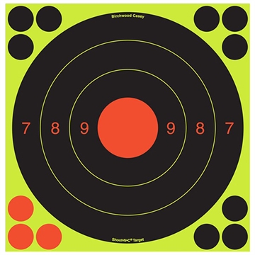 Picture of Birchwood Casey Shoot-N-C International Target BC-34082