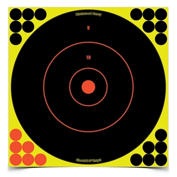 Picture of Birchwood Casey Shoot-N-C Bull's Eye Targets 12" 100/ct BC-34070