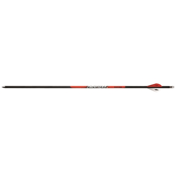 Picture of Black Eagle Black Eagle Carnivore Arrows .001 400 Blazer Vanes 6 pk. 120