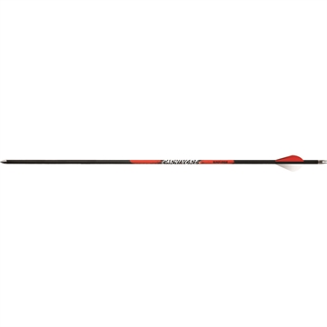 Picture of Black Eagle Black Eagle Carnivore Arrows .003 400 Blazer Vanes 6 pk. 124