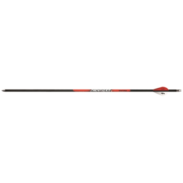 Picture of Black Eagle Black Eagle Carnivore Arrows Ultra-Light 30-50 .003 6 pk. 116