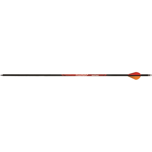 Picture of Black Eagle Black Eagle Rampage Arrows .001 250 Blazer Vanes 6 pk. 171