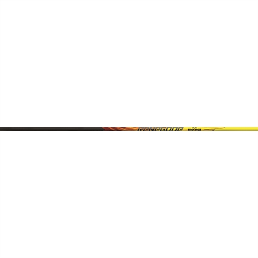 Picture of Black Eagle Black Eagle Renegade Shafts .005 300 1 doz. 261