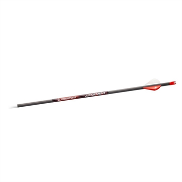 Picture of Bloodsport Judgement Arrow 300 Spine 6/pk BLS-PSB130106