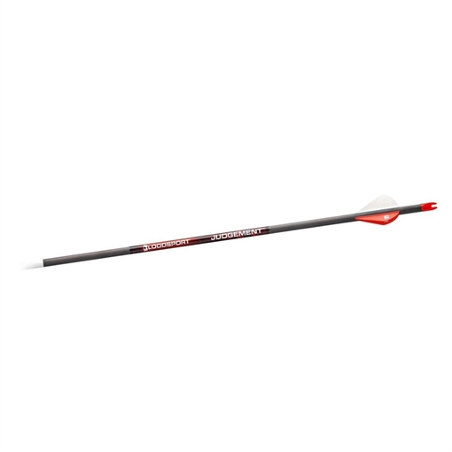 Picture of Bloodsport Judgement Arrow 400 Spine 6/pk BLS-PSB140106