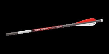 Picture of Bloodsport Witness Crossbow Bolt 22" 300 Spine 6/pk BLS-B8112053