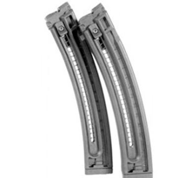 Picture of BLUE LINE SOLUTIONS MAG GSG-16 22RD TWIN PACK 4166000