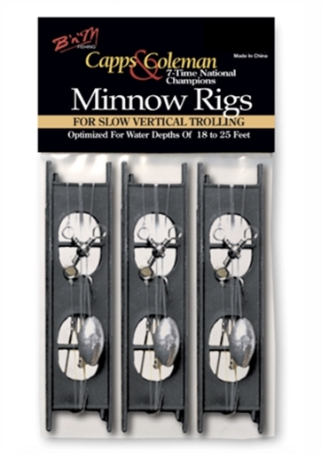 Picture of BNM CAPPS & COLEMAN MINNOW RIG 3/4 OZ MR34