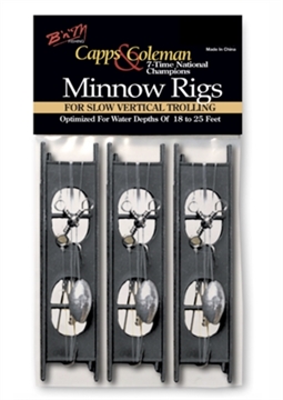 Picture of BNM CAPPS & COLEMAN MINNOW RIG 3/4 OZ MR34