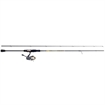 Picture of BNM LELAND TCB COMBO 6.5' 2PC SPIN COMBO TCB65-2-050