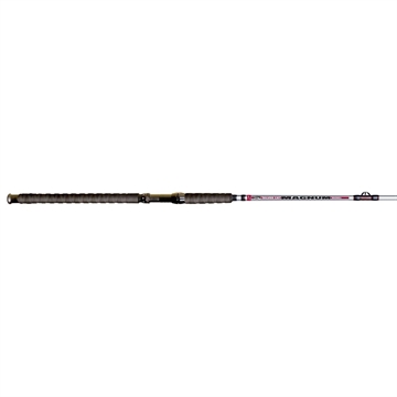 Picture of BNM SILVER CAT MAGAZINE 10' 2PC CAST ROD MAG10CN