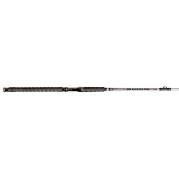 Picture of BNM SILVER CAT MAGAZINE 8' 2PC CAST ROD MAG80CN