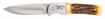 Picture of Browning Buckmark Hunter Folding 3220500
