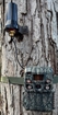 Picture of Browning Trail Camera LRA External Cellular Long Range Antenna BTC-LRA