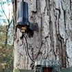 Picture of BROWNING TRAIL CAMERAS TRAIL CAMERA LONG RANGE ATENNA BTCLRA2