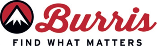 Picture of Burris Optics FastFire E, Green Dot, 1X Magnification, 3.5 MOA Dot, Matte Finish, Black 300267