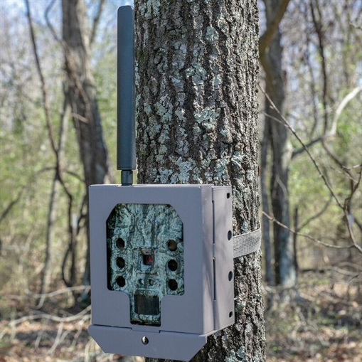 Picture of Bushnell Camera Security Box For (Cellular) CelluCore Models SD - Tan 119951C