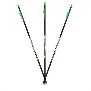 Picture of Carbon Express D-Stroyer Piledriver Arrows 400 Spines 6 Pack Fletched 51180