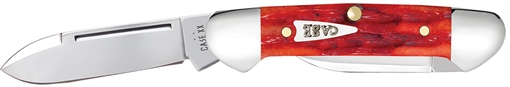 Picture of CASE INDIAN PAINT BRUSH BABY BUTTERBEAN 42322